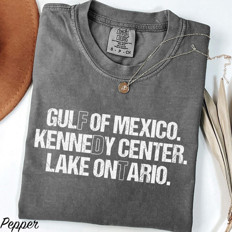 Comfort Colors Lake Ontario T-Shirt, Gulf of Mexico Shirt, Kennedy Center Tee, Funny Geography Shirt, Political Humor Graphic Tee