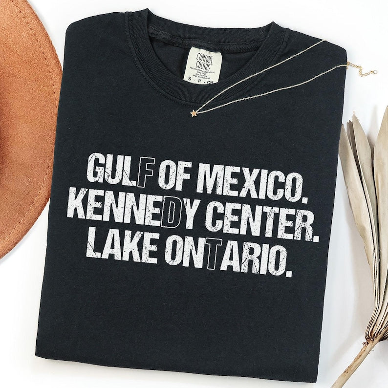 Comfort Colors Lake Ontario T-Shirt, Gulf of Mexico Shirt, Kennedy Center Tee, Funny Geography Shirt, Political Humor Graphic Tee